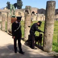 I carabinieri hanno trovato droga tra gli scavi archeologici di Ercolano