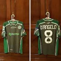 La maglia numero 8 del capitano dell'Avellino D'Angelo