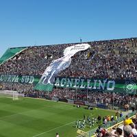 La Curva Sud dell'Arechi