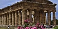 Parco archeologico di Paestum