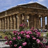 Parco archeologico di Paestum