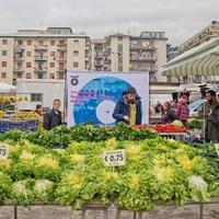 Musica e apertura pomeridiana per il mercato di Torrione