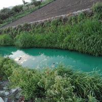 L'acqua inquinata dagli scarichi illegali