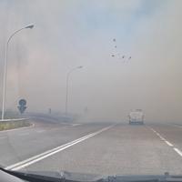 Rallentamenti lungo la Cilentana per un incendio