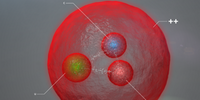 La particella Xi che è stata scoperta al Cern