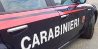 Sul caso indagano i carabinieri