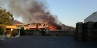 L'incendio allo stabilimento industriale a Castel San Giorgio