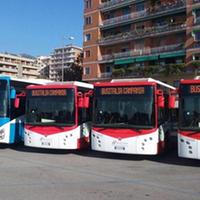 I nuovi bus che percorreranno le strade della provincia di Salerno