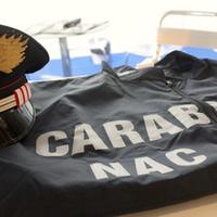 Operazione dei carabinieri di Salerno tra Napoli e Foggia